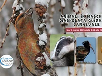 Animali in maschera! - Martedì 4 marzo 2025 dalle 9.30