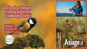 s04 primavera e paesaggi sonori di montagna 11 04 