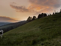 12 hours between the huts with lunch in the hut - Friday 11 August 2023 from 06.00