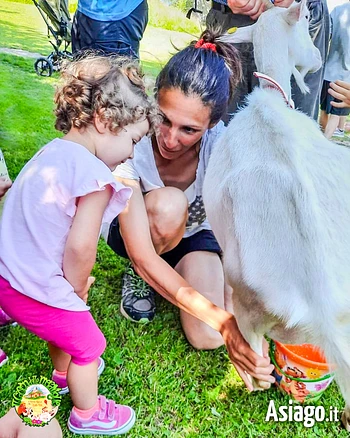 La fattoria dei piccoli a Il Cason delle Meraviglie