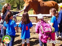 Visita guidata alla fattoria a Il Cason delle Meraviglie - 9 giugno 2024