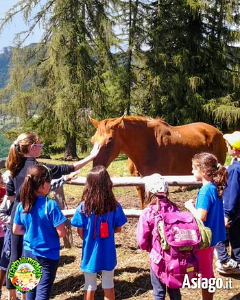 Visita guidata alla fattoria a Il Cason delle Meraviglie