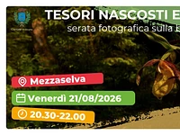 Serata fotografica “Tra tesori nascosti e alieni" - Mezzaselva, venerdì 21 agosto 2026