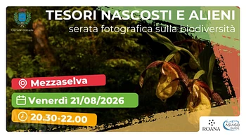 Serata fotografica tra tesori nascosti e alieni a Mezzaselva 21 agosto 2026