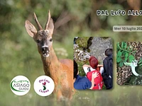 "Dal lupo allo scoiattolo a Cesuna" escursione guidata - Cesuna, 10 luglio 2024