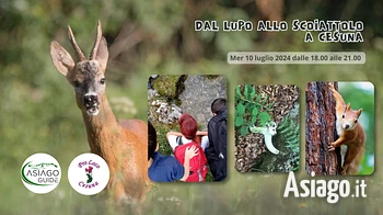 Dal lupo allo scoiattolo escursione guidata sull'Altopiano di Asiago