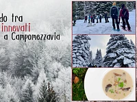 W61 Ciaspolando tra gli abeti innevati 21 02 26 (1)