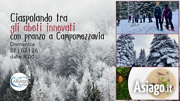 w61 ciaspolando tra gli abeti innevati 21 02 26 1