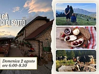 E10 Alba in malga a malga larici di sotto 02 08 26