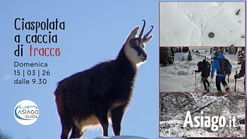 w65 ciaspolata a caccia di tracce 15 03 26