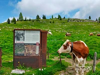 Illustrationstafel des Ökomuseums des Ersten Weltkriegs