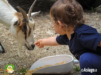 The children's farm in Il Cason delle Meraviglie - June 15 2024