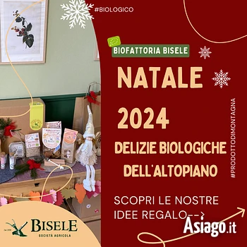 Cesti natale 2024 p1