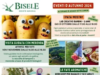 SOLD OUT Visita guidata con merenda alla Biofattoria Bisele | Venerdì 1 novembre 2024 dalle 14.30