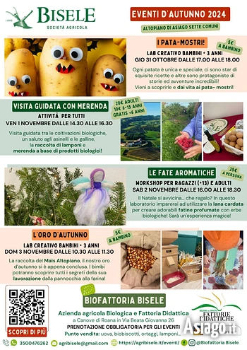 Bisele eventi autunno 2024