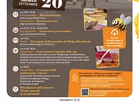 Scargar malga 2025 a Gallio 