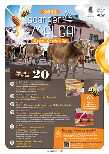 scargar malga 2025 a gallio