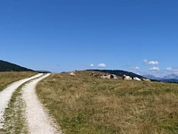 Escursione sul Monte Ongara a Gallio