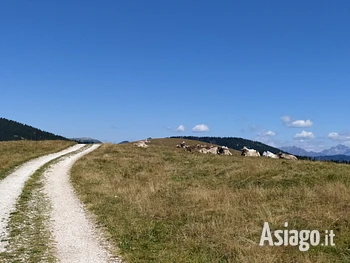 Escursione sul Monte Ongara a Gallio