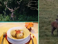 The roar of the Deer with dinner - Saturday 30 September 2023 from 6.30 pm