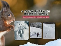 A caccia di tracce: incontri animali - Dom 16 febbraio 2025 dalle 9.30