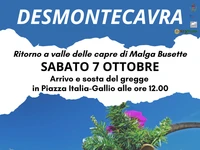 "DESMONTECAVRA" : il ritorno a valle delle capre di Malga Busette - Gallio, 7 ottobre 2023
