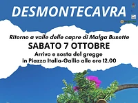 Desmonte Cavra 2023 a Gallio