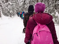 Passeggiata guidata a Gallio