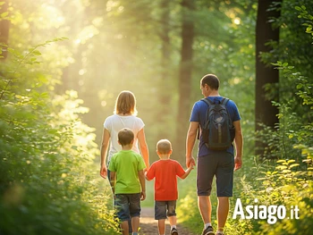 Passeggiata nel bosco per famiglie sull'Altopiano di Asiago