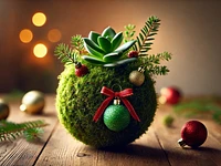 Workshop "KOKEDAMA: CHRISTMAS EDITION" in Treschè Conca - 2. Januar 2025