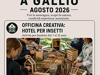 "Kreativer Workshop: Hotel für Insekten" Workshop für Kinder – Gallio, Montag, 24. August 2026