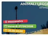Serata divulgativa "Animali leggendari di montagna" - Mezzaselva, venerdì 7 agosto 2026