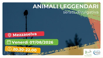 Serata divulgativa Animali leggendari a Mezzaselva di Roana 7 agosto 2026