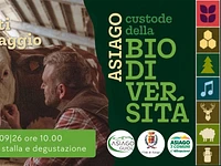A06 Dai prati al formaggio di oggi 050926