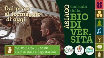 A06 Dai prati al formaggio di oggi 050926