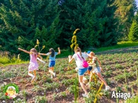 Grüne Woche für Kinder in Il Cason delle meraviglie di Treschè Conca - von 31. juli bis 4. august 2023