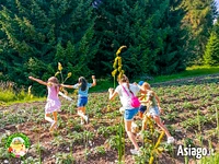 Grüne Woche für Kinder in Il Cason delle meraviglie di Treschè Conca - von 10 bis 14. juli 2023