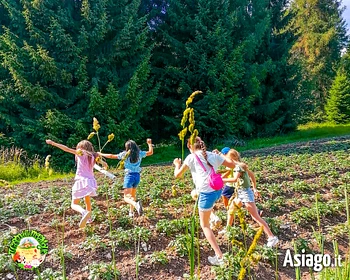 Settimana verde a Il Cason delle Meraviglie