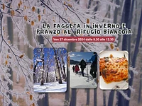 The beech forest in winter with snowshoes and lunch in Biancoia | Fri 27 December 2024 from 9.30 am