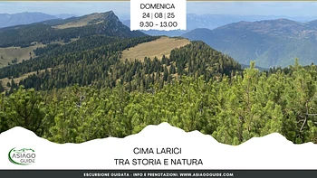 E20 Cima Larici tra storia e natura