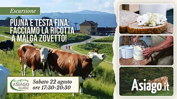 E24 Pujna e testa fina facciamo la ricotta a Malga Zovetto 22 08 26