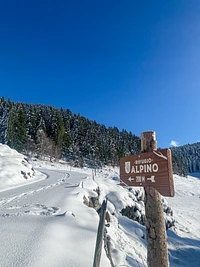 To the Alpine Hut walking in the snow