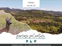 WILD TRAILS - ROANA| Monday 14 April 2025 from 15.00