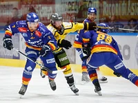 Partita Migross Supermercati Asiago Hockey vs HC Pustertal Wölfe - ICE Hockey League 2024/2025 - 27 ottobre 2024
