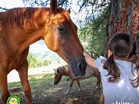 Bimba con cavallo a Il Cason delle Meraviglie