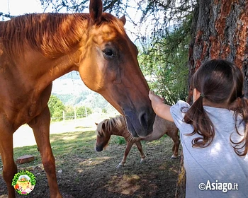 Bimba con cavallo a Il Cason delle Meraviglie