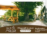 UP, TO THE MALGA! "Beeello go to Malga Col del Vento" - Friday, July 18, 2025
