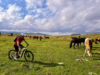 "Il tramonto a Marcesina" tour guidato in E-bike - Rifugio Valmaron, Enego, 23 agosto 2025