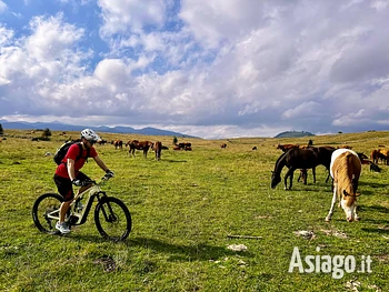 Escursione al tramonto a Marcesina in ebike