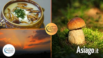 Funghi campomezzavia asiago guide